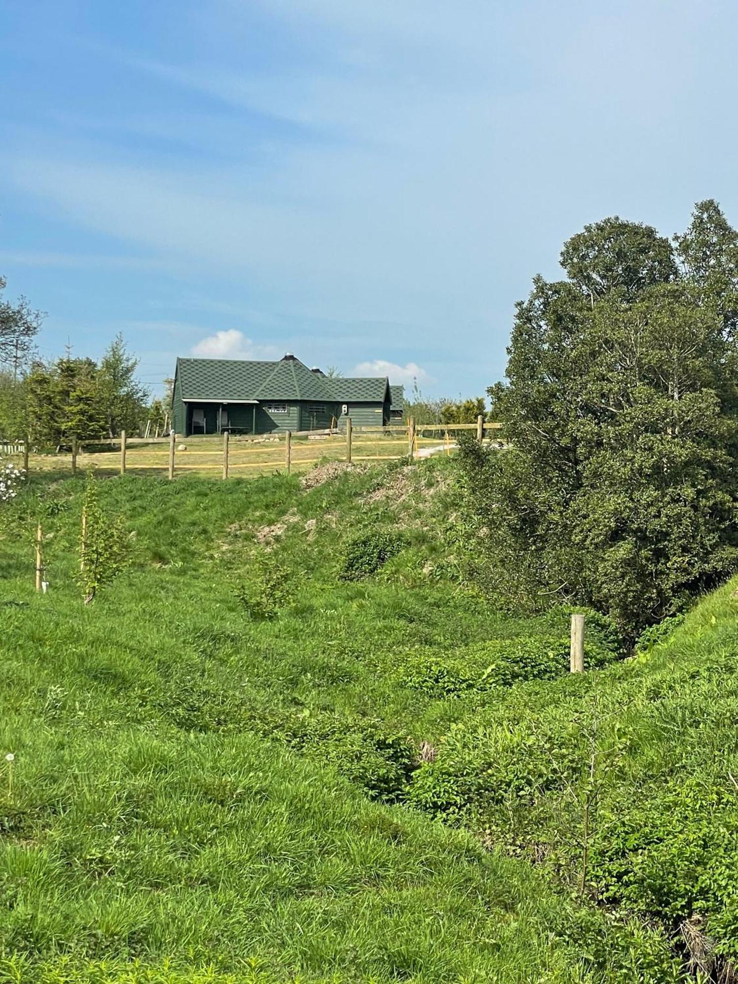 Holly Tree Glamping *